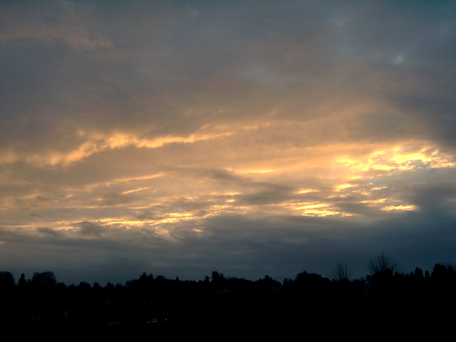 picture080.jpg
